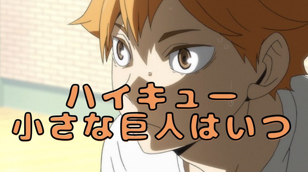 ハイキュー 小さな巨人はいつ
